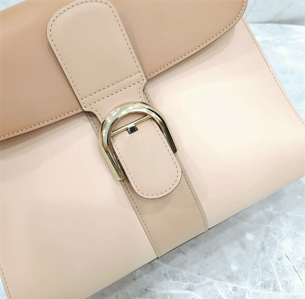 [럭스유] 델보 브릴리언트 MM 토트 숄더백