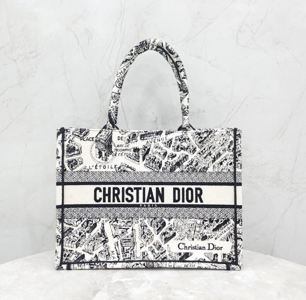 [럭스유] 디올 북토트 미디엄 플랑 드 파리 M1296ZOMP