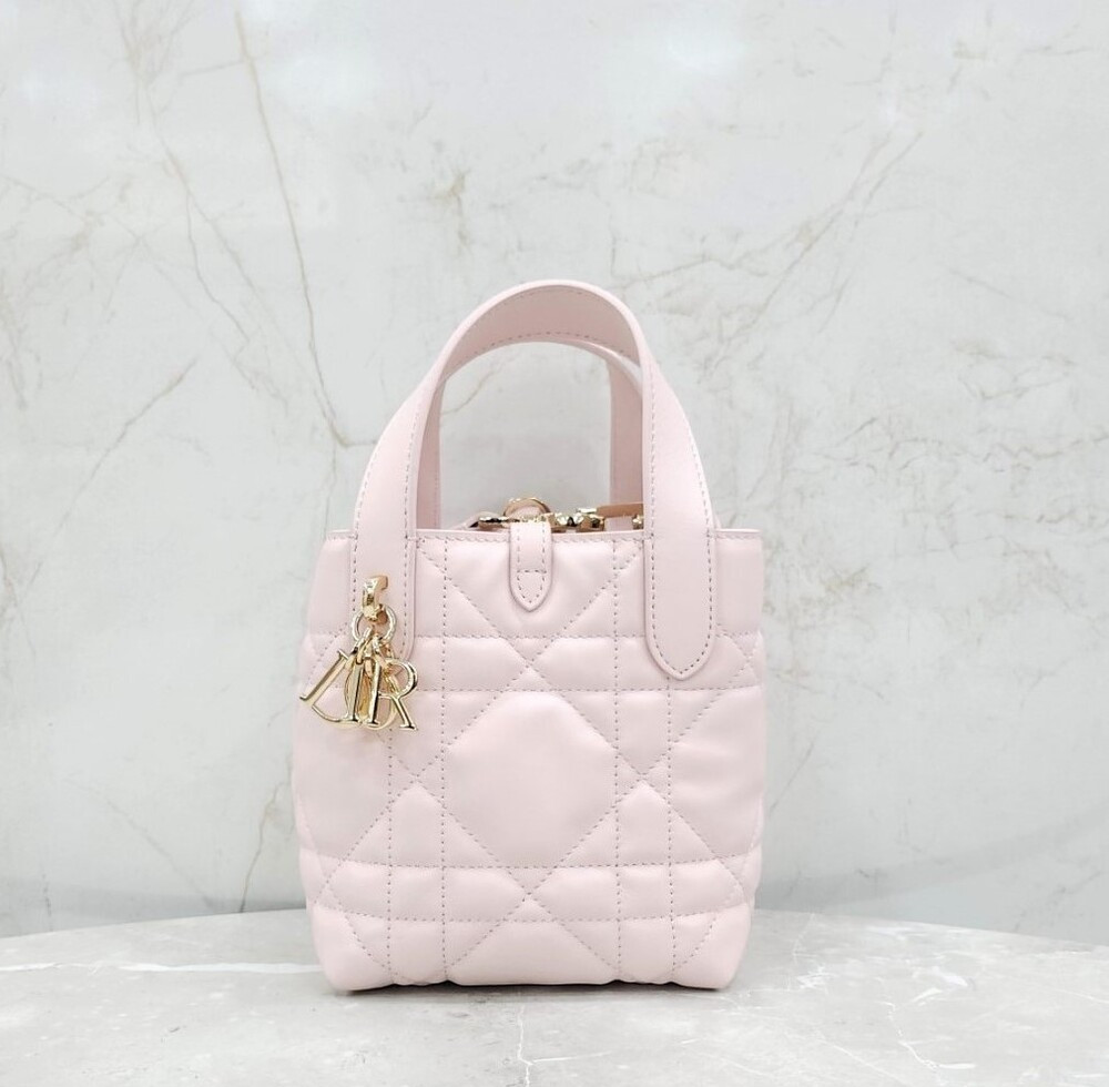 [럭스유] 디올 버티컬 나노 토트백 파우더핑크 까나쥬 S6100OSNW