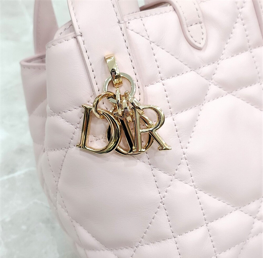 [럭스유] 디올 버티컬 나노 토트백 파우더핑크 까나쥬 S6100OSNW