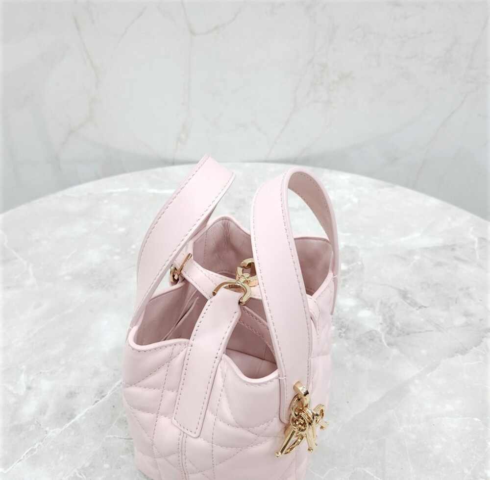 [럭스유] 디올 버티컬 나노 토트백 파우더핑크 까나쥬 S6100OSNW